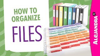 How to Organize Files in OfficeHome Part 2 of 9 Paper Clutter Series [upl. by Aeriell]