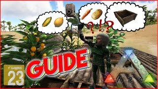 ARK‬ Survival Evolved GUIDE GartenFeld  Gemüse  richtig anbauen HilfeTUTORIALDeutsch [upl. by Leora]