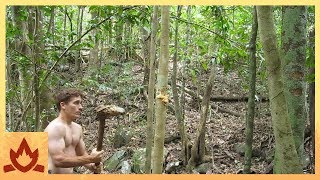 Primitive Technology Stone Adze [upl. by Fiann]