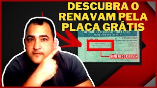 Como Descobrir o Renavam Pela Placa 100 GRÁTIS [upl. by Terrab696]