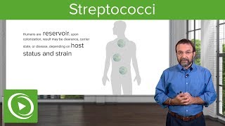 Streptococci – Microbiology  Lecturio [upl. by Ahsier28]