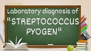 Streptococcus pyogen laboratory diagnosis [upl. by Christabel]