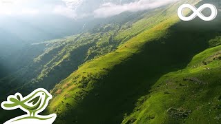 The Hidden Valley Ambient Relaxing Music for Stress Relief Sleep amp Meditation [upl. by Anawal]