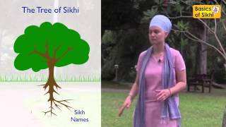 How and Why are Sikhs killing Sikhi [upl. by Habas]