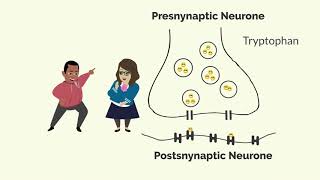 How Zoloft Sertraline Works [upl. by Yrgoerg995]