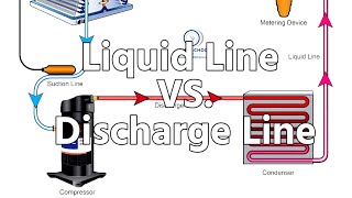 Liquid Line VS Discharge Line [upl. by Tloh796]