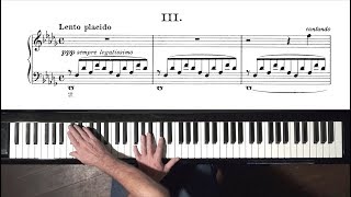 Liszt Consolation No3  P Barton FEURICH 218 piano [upl. by Greenland770]