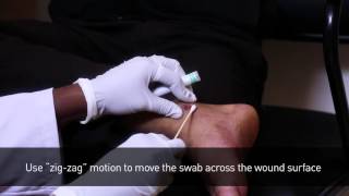 Healthcare Throat Swab Collection Procedure [upl. by Clava]