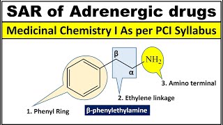 SAR of Adrenergic Drugs SAR of Sympathomimetic Drugs [upl. by Kirat]