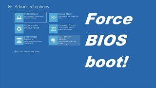 HOW TO Force booting into BIOS [upl. by Akeit]