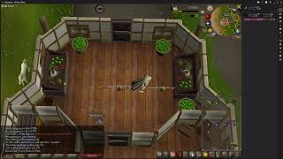 OSRS Thieving Fruit stalls 425k Thieving xph level 25 Thieving [upl. by Mitchel5]