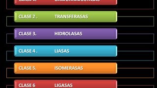 Enzimas Clasificación [upl. by Ahseenal]