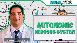 Neurology  Autonomic Nervous System [upl. by Fauch259]