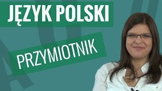 Język polski  Przymiotnik [upl. by Meehsar]