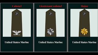 us military rank insignia [upl. by Ester]