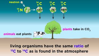 Radiometric Dating Carbon14 and Uranium238 [upl. by Oelc]