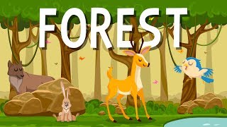 Wild Animals habitats  English Educational Videos  Little Smart Planet [upl. by Hamford]