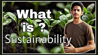 Sustainability in Hindi  What is Sustainability [upl. by Cleopatre697]