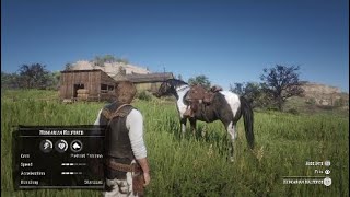 Red Dead Redemption 2 Free Hungarian Halfbred Piebald Tobiano Location Early In Chapter 2 [upl. by Shellie636]