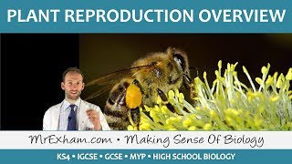 Plant Reproduction  Introduction and Overview  GCSE Biology 91 [upl. by Gard]