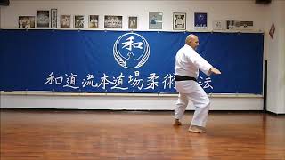 Pinan Nidan  Wado Ryu 2nd Pinan Kata  Wado Ryu Hon Dojo  Karate video [upl. by Llehcram61]