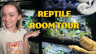 Reptile Room Tour August 2023 [upl. by Kirsteni537]