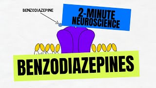 2Minute Neuroscience Benzodiazepines [upl. by Willamina]