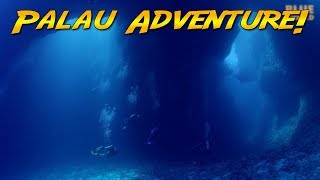 Palau Scuba Adventure Worlds best diving [upl. by Ettore196]