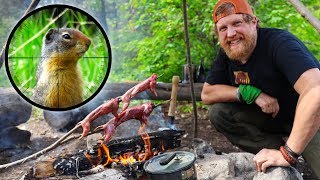 Catch And Cook Gopher Day 4 Of 30 Day Survival Challenge Canadian Rockies [upl. by Rozalin620]