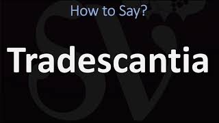 How to Pronounce Tradescantia CORRECTLY [upl. by Primalia]