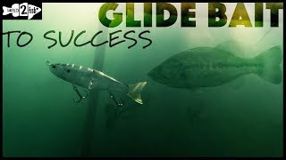 The Basics of Glide Bait Fishing Bass [upl. by Ardisi247]