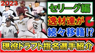 現役ドラフト指名選手紹介・セリーグ編 第２回現役ドラフトが開催！逸材達が続々移籍！【阪神・漆原大晟】【広島・内間拓馬】【DeNA・佐々木千隼】【巨人・馬場皐輔】【ヤクルト・北村拓己】【中日・梅野雄吾】 [upl. by Chelsae534]