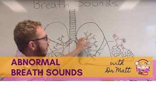 Abnormal Breath Sounds  Respiratory System [upl. by Googins]