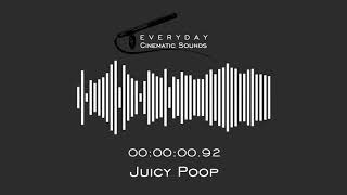 Juicy Poop  HQ Sound Effect [upl. by Jasik671]