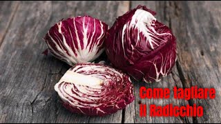 COME TAGLIARE IL RADICCHIO [upl. by Irwinn309]