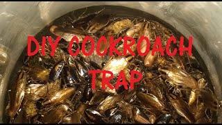 DIY Cockroach Trap with proof [upl. by Annadiana]