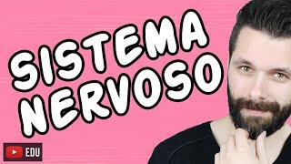 SISTEMA NERVOSO  FISIOLOGIA  Aula  Biologia com Samuel Cunha [upl. by Notrub]