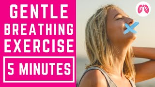 Buteyko Inspired Breathing Exercises  5 Minutes  TAKE A DEEP BREATH [upl. by Valaree440]