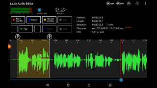 Tutorial Lexis Audio editor [upl. by Joliet]