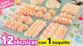 12 TIPOS DE DECORACIONES CON 1 SOLA BOQUILLA  USO Y MANEJO DE DUYA 1M  QUIERO CUPCAKES [upl. by Nnylaf]