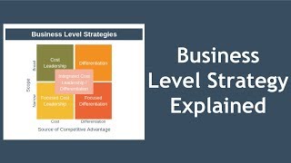 Business Level Strategy Explained [upl. by O'Meara949]