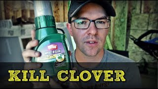 How To Kill Clover In Your Lawn The Cheap Way [upl. by Fred]