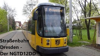 Straßenbahn Dresden  Der NGTD12DD HD [upl. by Annecorinne893]