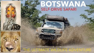 BOTSWANA TRAVEL DOCUMENTARY  4x4 Self Drive Safari  amazing rainy season adventures in Africa [upl. by Titus]