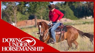 Clinton Anderson How to Correct a Horse That Bolts  Downunder Horsemanship [upl. by Bently272]