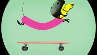 Wiener Dog Riding A Skateboard Animation [upl. by Elokcin]