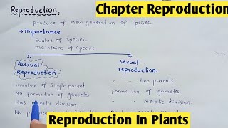 Reproduction in plants  Life Cycle Bryophyte And Gymnosperms  Class 12 Biology [upl. by Acey]