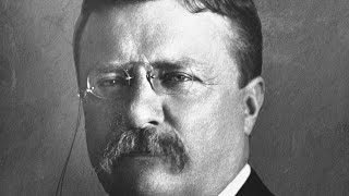 The Theodore Roosevelt Song [upl. by Hymie]