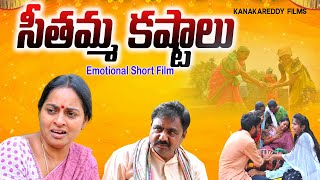 సీతమ్మ కష్టాలు EMOTIONAL SHORT FILMKANAKREDDY FILMSTELUGU SENTIMENT VIDEOVILLAGE VIDEO [upl. by Elorak]