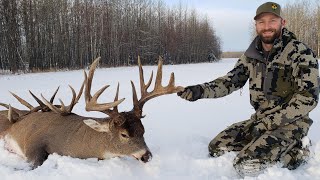 185quot Alberta Whitetail Hunt [upl. by Kellia]